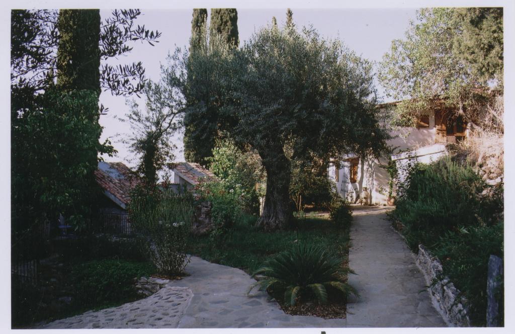 Studios Kyparissi & Spa Tirós エクステリア 写真